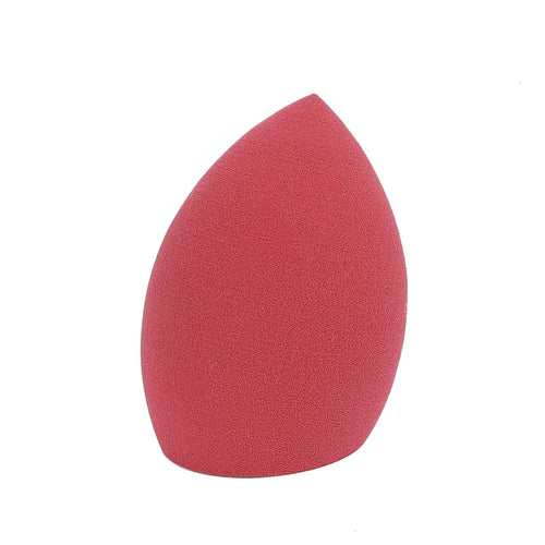 10 - Piece Latex - Free Sponge Set - Roger's Spot