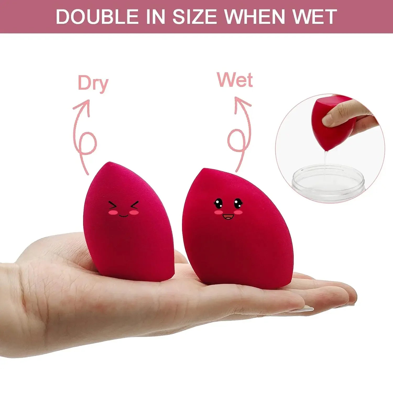 10 - Piece Latex - Free Sponge Set - Roger's Spot
