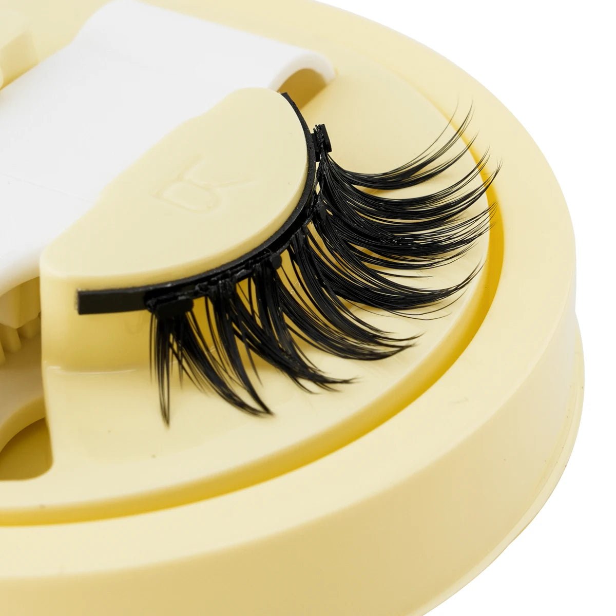 Magnetic Eyelashes Set - Roger's Spot