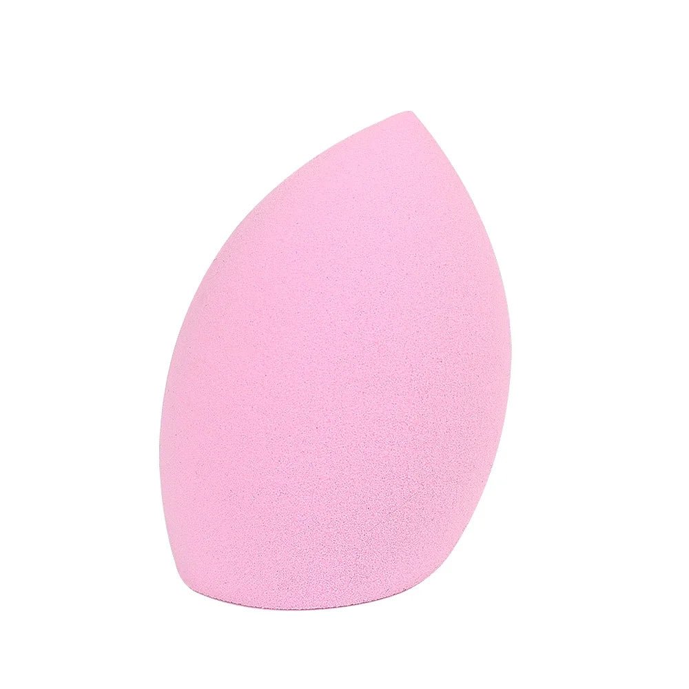 10 - Piece Latex - Free Sponge Set - Roger's Spot